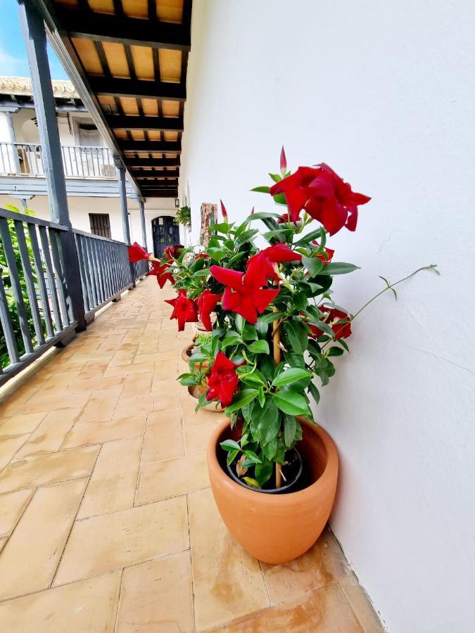Apartamento Con Patio Sevillano 외부 사진
